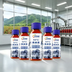 HACCP ISO Certified NFC Blueberry Pure Squeezed Lutein Drink 50ml*10 Bottles Box OEM Customized No Additives