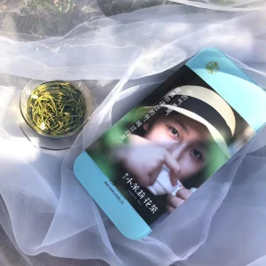 HN28 Factory Price Negotiable Cha Hunan 45g Premium High Quality Scented Chinese Jasmine Green Tea Supplier