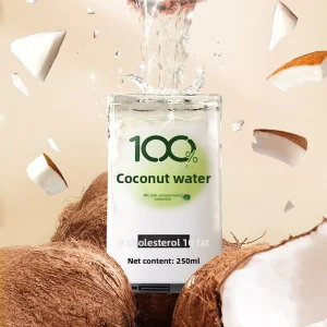 Hainan Specialty 100% Pure Southern Coconut Water 250ml 6 Pack Boxed Ready to Drink Coconut Juice Beverage Chilled Ice