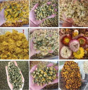 Healthy 100% Natural Various Blossom Flower Dried Chrysanthemum Flowers Tea