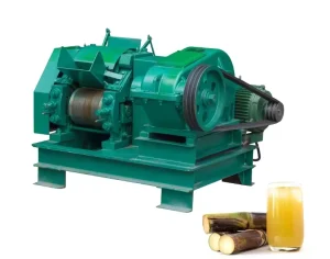 Heavy Duty Automatic Sugarcane Juicer Machine Commercial Fruit Press with Motor for Processing Cane Sugar
