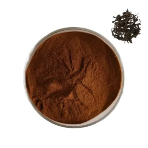 High Quality Black Tea Instant Water Soluble Pure Black Tea Powder