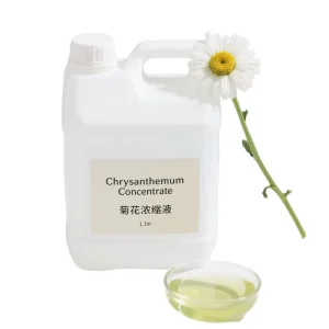 High Quality Chrysanthemum Flavored Syrup for Boba Tea for Adults and Children Delicious Drinks and Toppings