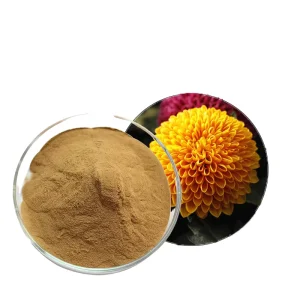 High Quality Chrysanthemum Flower 100% Natural Wild Chrysanthemum Flower Extract Powder