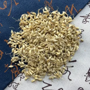 High Quality Dried Barley Grain Suitable for Malting Export China Origin Premium Barley Bulk Available