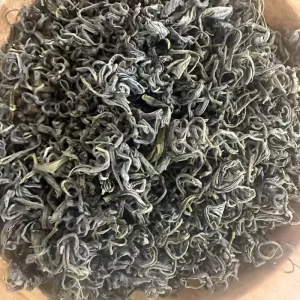 High Quality Green Tea Mingqian Laoshan Green Tea From Qingdao China Production of Healthy Bulk Green Tea