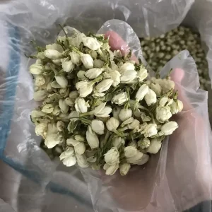 High Quality Natural Dried Fresh Jasmine Pearls Tea Loose Bulk Vacuum Pack Box Fresh Jasmine Bud Flower Tea Healthy Raw