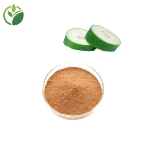 High Quality Natural Winter Melon Powder Winter Melon Extract Powder Water Soluble Winter Melon Juice Powder White Gourd Extract