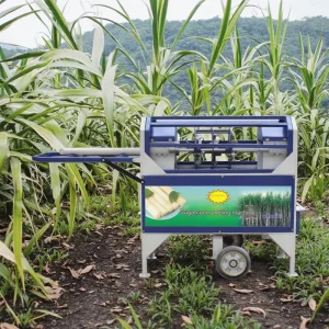 High Speed Commercial Sugarcane Peeling Machine Factory Supply Sugar Cane Skin Peeling Juice Extractor