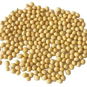 High quality Instant Whole Soy Bean Milk Powder Food Grade Nutrient Enhancer 2 Year Shelf Life