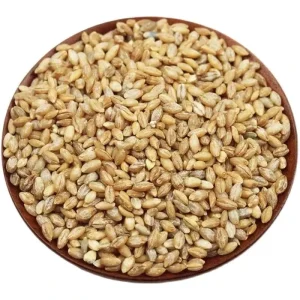 Hull-less Highland Barley Whole Grain Superfood