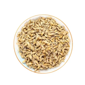 Loose Dried Malt Mild Roasted Sweet Grain Aroma Relieve Indigestion Bloating Digestive Herbal Tea Custom Pack