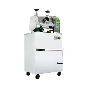 Low Noise Desktop Stainless Steel Home Use Electric Sugarcane Juicer Machine