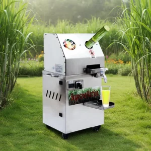 Manufacturer Sugar Cane Press Machines Sugarcane Juice Making Small Sugarcane Juicer Machine
