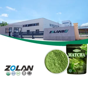 Matcha Powder 1kg Premium Grade Green Tea Export Quality Bag Packaged for Global Market