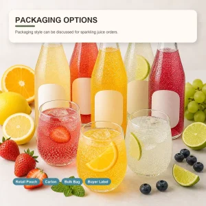 Multi-Flavor Canned Sparkling Fruit Juice Lychee Bayberry Lime Carbonated Fruit
