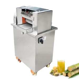 Multi Functional Electric Sugarcane Juicer Stainless Steel Commercial Press Mill Machine Small Portable Juice Squeezer Extruder