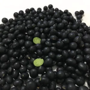 Natural Bulk NON GMO Black Soybean Seeds Dry Black Soybean