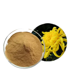 Natural Chrysanthemum Extract Powder 5% Flavone 10:1 Chrysanthemum Extract
