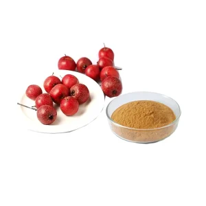 Natural Flavones Hawthorn Fruit Extract 20:1 Hawthorn Berry Extract Powder 10%-50%