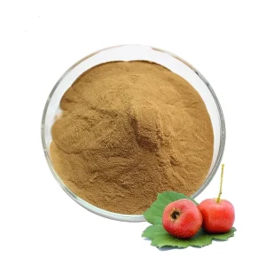 Natural Hawthorn Berry Extract Powder Food Grade Herbal Extract for Health Care