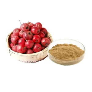 Natural Hawthorn Berry Extract Powder Hawthorn Fruit Extract 20:1 Flavones 10%-50% UV