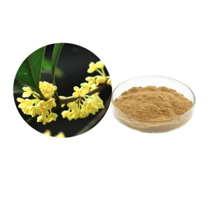 Natural Osmanthus Extract Sweet Olive Extract 10:1 Osmanthus Sp Extract 20:1