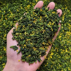 Natural Taiwan Osmanthus Oolong Tea High Mountain Anxi Tieguanyin Blended Osmanthus Flower Flavor Guihua Oolong Tea Loose Leaf