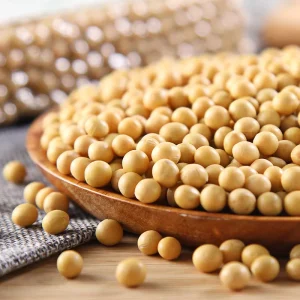 Naturally Delicious Plump Organic Soybeans Grown Without Chemicals