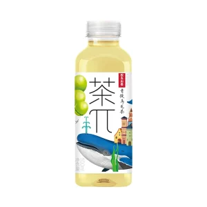 Nongfu Spring Jasmine Green Tea 500ml Bottled Flavored Tea with 3% Sugar 15 Count Perfect Beverage