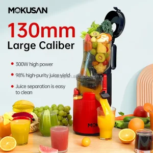 OEM Cold Press Juicer Powerful Slow Juicer with Total Pulp Control Electric 2 Pulp Functions Juicer Machine