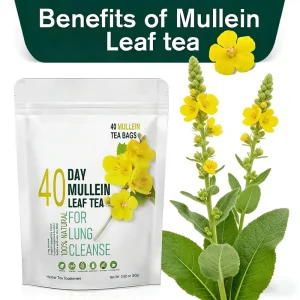 OEM Natural Mullein Leaf Tea Caffeine Free Herbal Tea Rich in Natural Plant Nutrients Gentle Care Factory Direct
