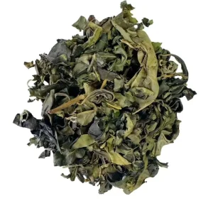 OEM ODM Green Tea Bags HACCP ISO22000 20 Count 40g Hot Iced Brew Natural Caffeine