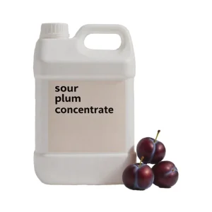 OEM ODM Sour Plum Fruit Juice Concentrate 20kg for Children Adults Bubble Tea Drink Topping Food Beverage