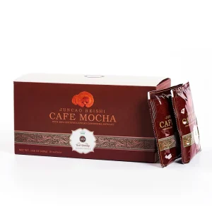 OEM Private Label Mushroom Coffee Instant Ganoderma Mocha Extract Blend