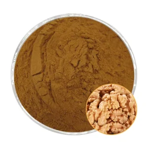 Organic 10:1 30:1 Walnut Kernel Extract Powder Water Soluble Spray Drying Pure Seed Origin Food Grade Vacuum Packed