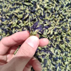 Organic Butterfly Pea Tea Organic Certified Premium Herbal Organic Tea From Thailand Butterfly Pea Flower