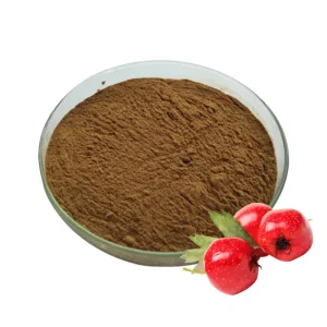 Organic Hawthorn Berry Extract Powder Health Care Hawthorn Juice Powder 20% 80% Hawthorn Flavone