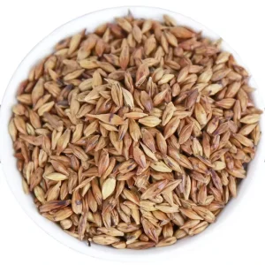 Organic Herbal Slimming Barley Tea Coffee Light Yellow Food Grade 1000g Bag Bulk Packaging Sugar Free 12 Months Shelf Life