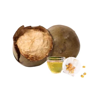 Organic Monk Fruit Tea Bag NON GMO Pure Natural Monkfruit Tea Bags for Drink