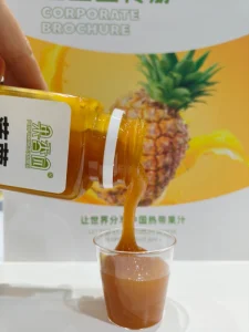 Other Pineapple Guava Frozen Concentrate Passion Fruit Juice Factory