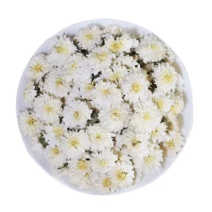 Premium Chrysanthemum Bud Flower Tea Summer Chrysanthemum Flower