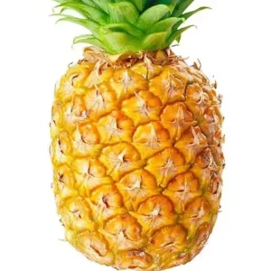 Premium IQF Frozen Pineapple Tidbits BRC Certified Frozen Fruit for Pizza Topping & Bakery Tropical Fruit