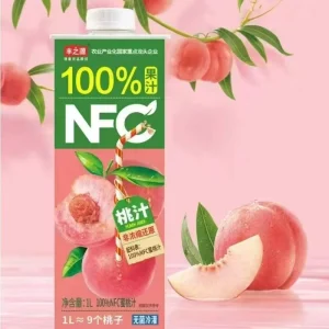 Premium Mixed Fruit Juice in Bottle Refreshing Fruit Beverages Bulk Exporter