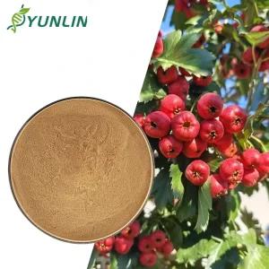 Professional Manufacturers of High Quality Pure Natural Hawthorn Powder Organic Freeze dried Fruit and Vegetable Powder
