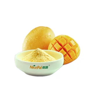 Pure Dried Fruit Powder No Additive Mango Juice Powder Mango Powder With Good Price