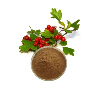 Pure Hawthorn Berry Extract Powder Hawthorn Flavone Food Grade Hawthorn Berry Extract