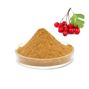 Pure Natural Hawthorn Berry Extract Antioxidant Hawthorn Powder 10:1 5% Flavonoids Hawthorn Extract