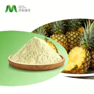 Pure Pineapple Powder Instant Freeze Dried Pineapple Powder Pineapple Fruit Powder