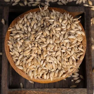 Quality Barley Grains Premium Barley Seeds Bulk Barley Grains Malted Barley Malt Grain